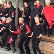 Shellharbour Street Music Festival