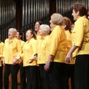 Wollongong Citizenship Ceremonies