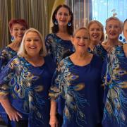 Our Basses - on the left