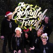 Enchanted Forest Shellharbour