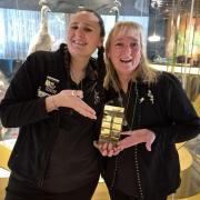 Novice Director of the Year Award